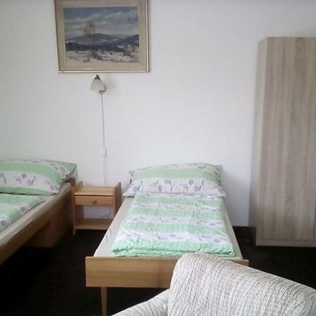 Apartment Vysocina Svratka Esterno foto