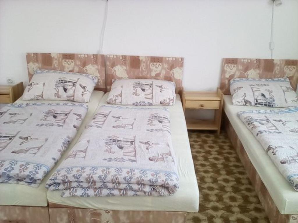 Apartment Vysocina Svratka Esterno foto